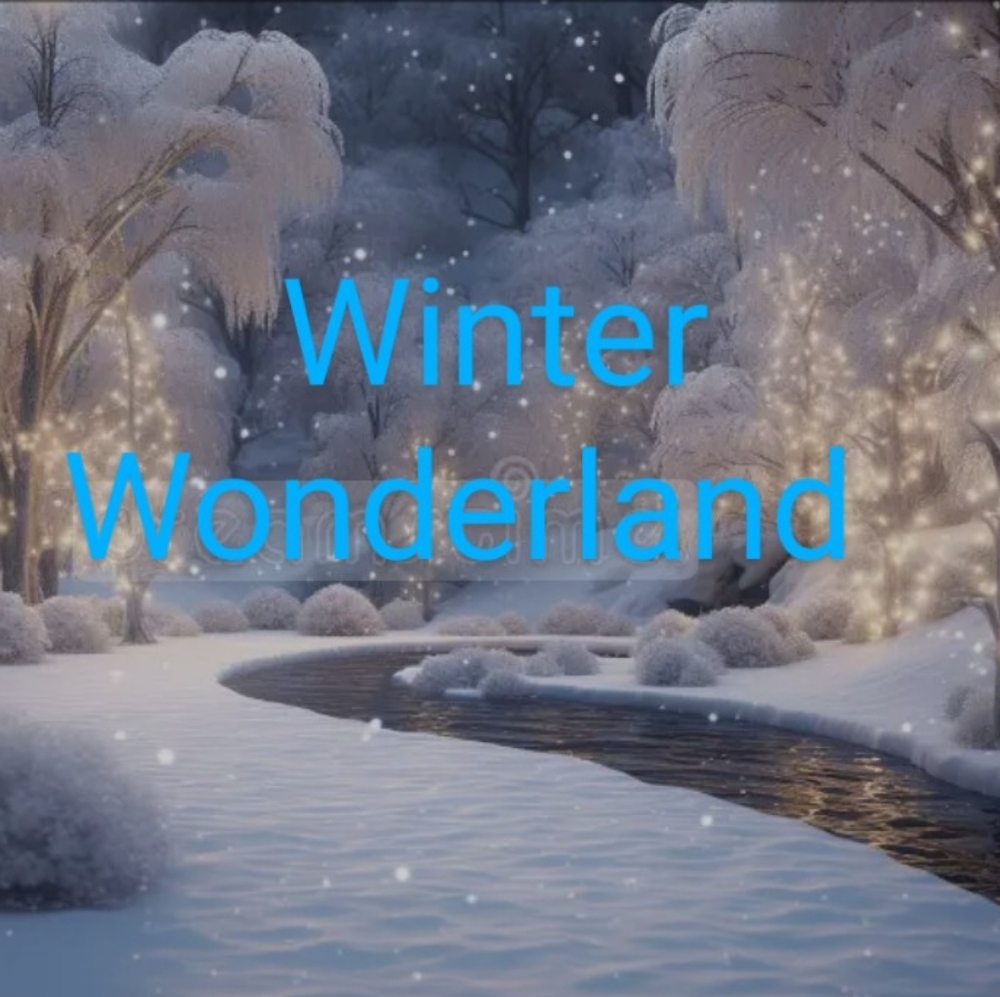 ❄️WINTER WONDERLAND❄️              Like & Share for Women's Auctions